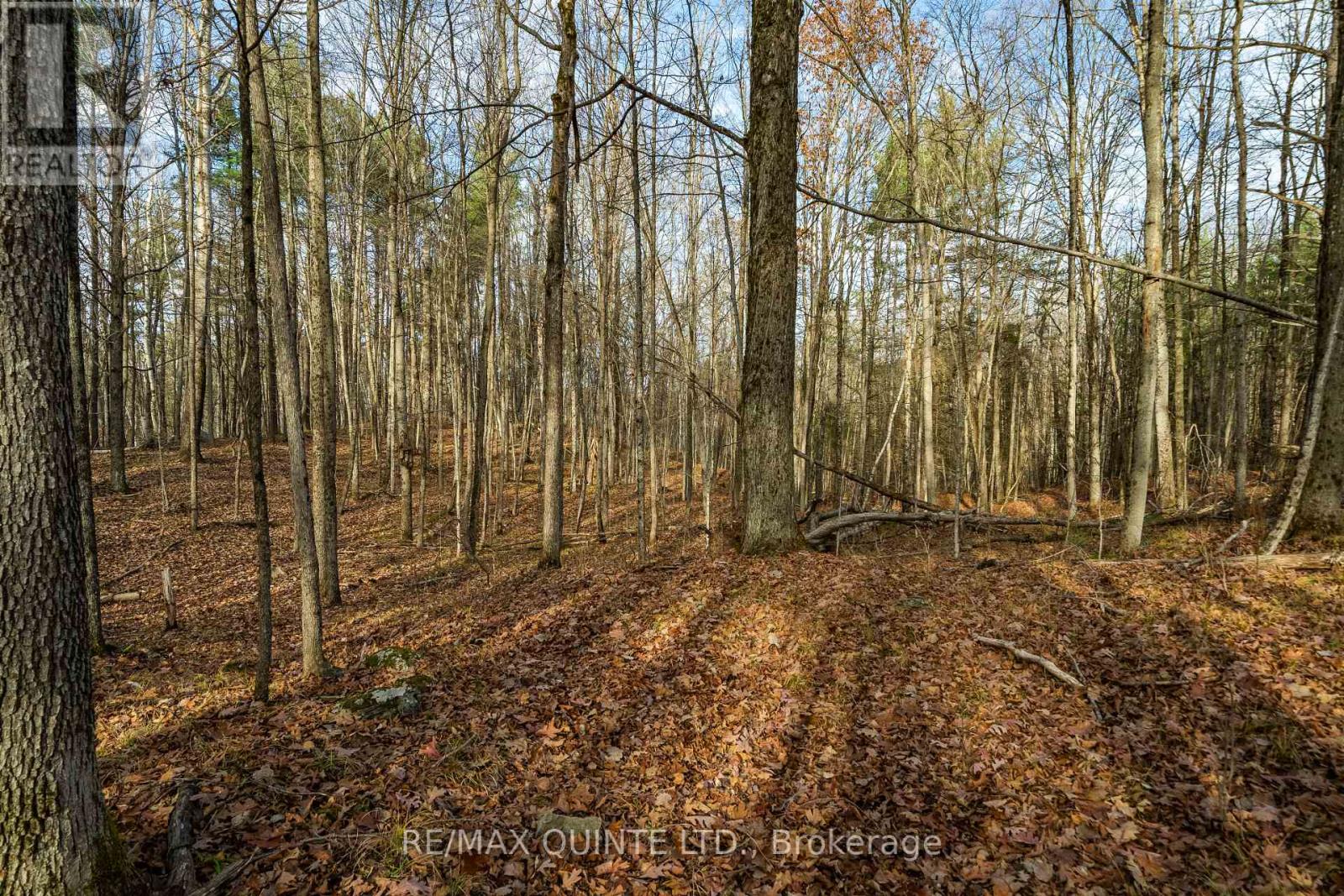 0 Highway 41, Addington Highlands, Ontario  K0H 1Z0 - Photo 34 - X7308322