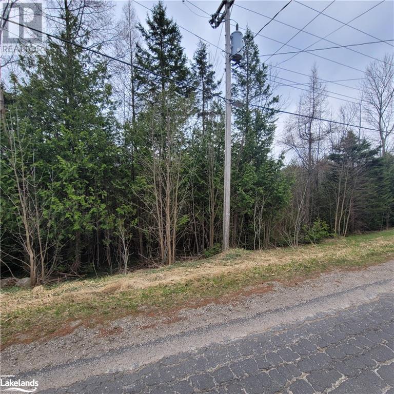 Part Lot D20 Stokes Bay Road, Bruce, Ontario  N0H 1W0 - Photo 3 - 40514883