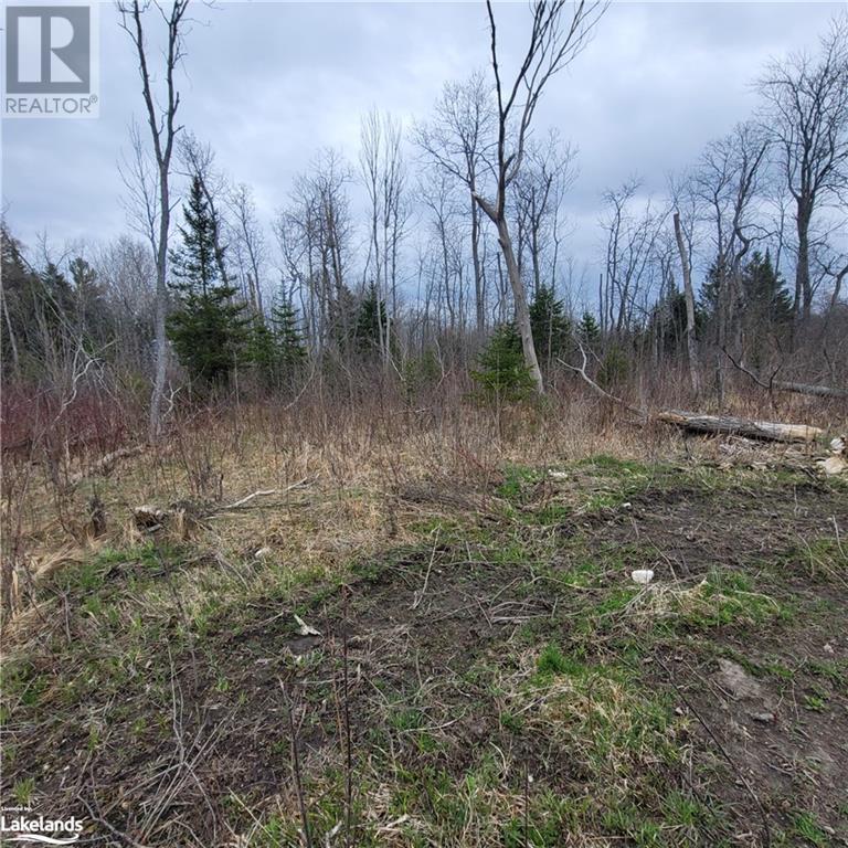 Part Lot D20 Stokes Bay Road, Bruce, Ontario  N0H 1W0 - Photo 4 - 40514883