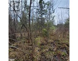 PART LOT D20 STOKES BAY Road, bruce, Ontario