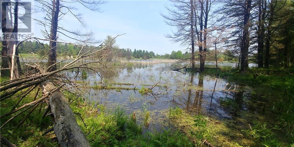 Lot 21 Old River Road, Mallorytown, Ontario  K0E 1R0 - Photo 12 - 1368382