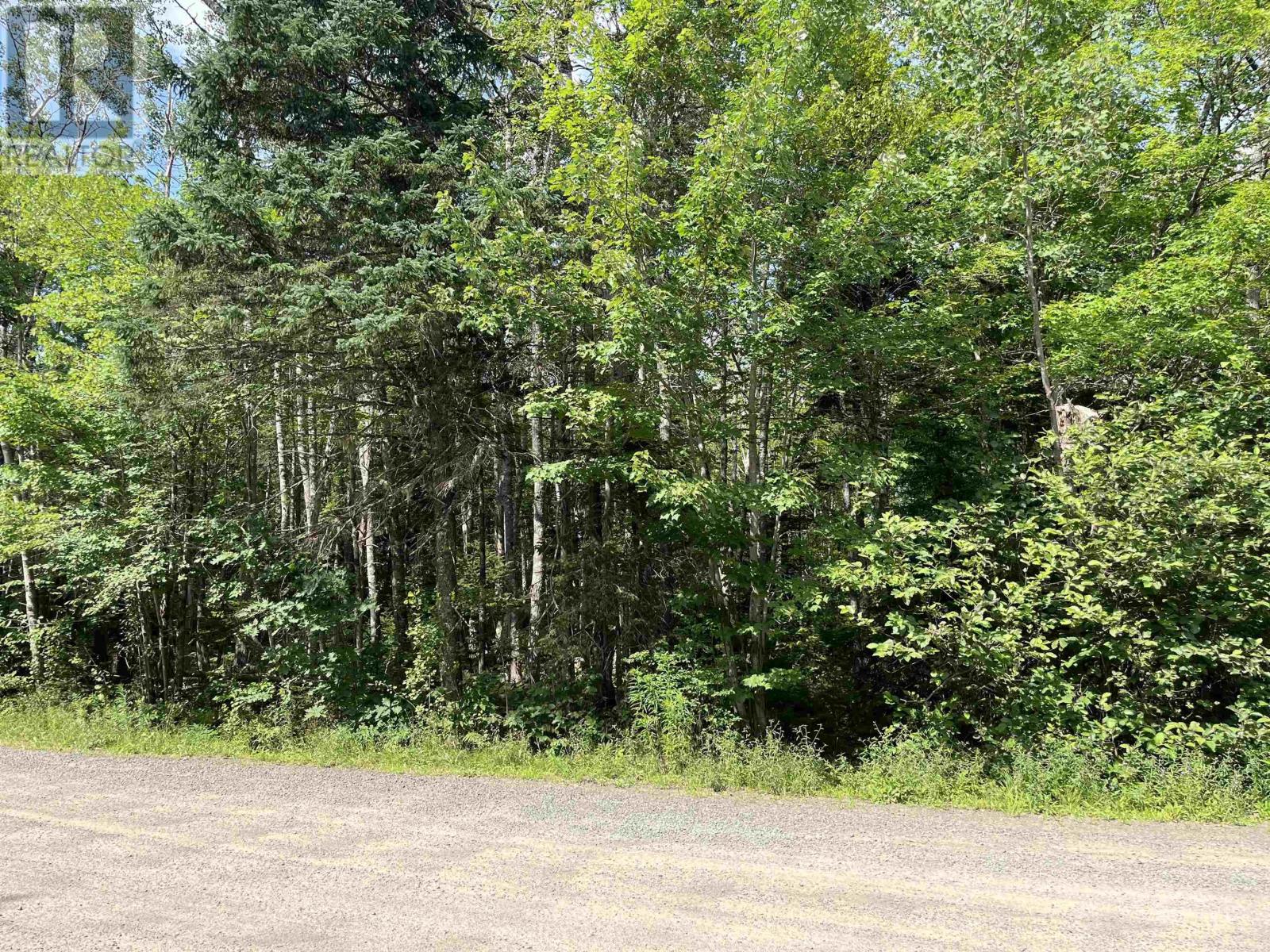 7 Lot 7 Butler Road Road, forest home, Nova Scotia