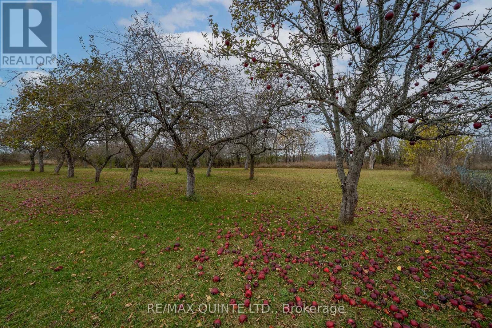 381 Partridge Hollow Road, Prince Edward County, Ontario  K0K 1T0 - Photo 29 - X7311534