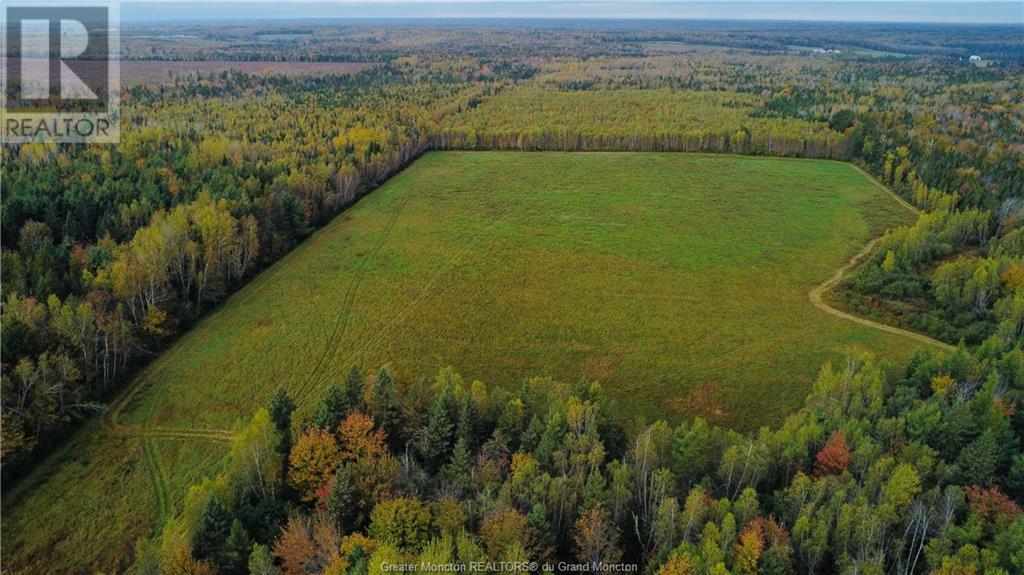 Lot Route 465, Fords Mills, New Brunswick  E4T 1Y9 - Photo 3 - M155642