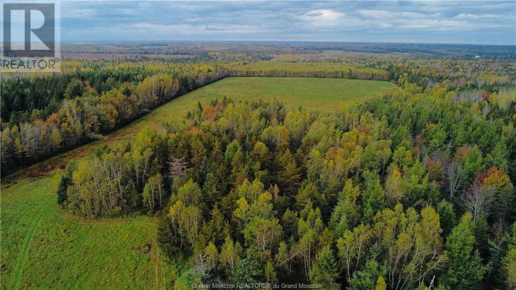 Lot Route 465, Fords Mills, New Brunswick  E4T 1Y9 - Photo 5 - M155642
