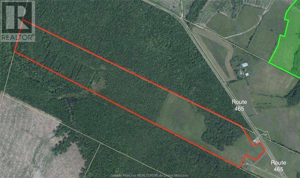 Lot Route 465, Fords Mills, New Brunswick  E4T 1Y9 - Photo 6 - M155642