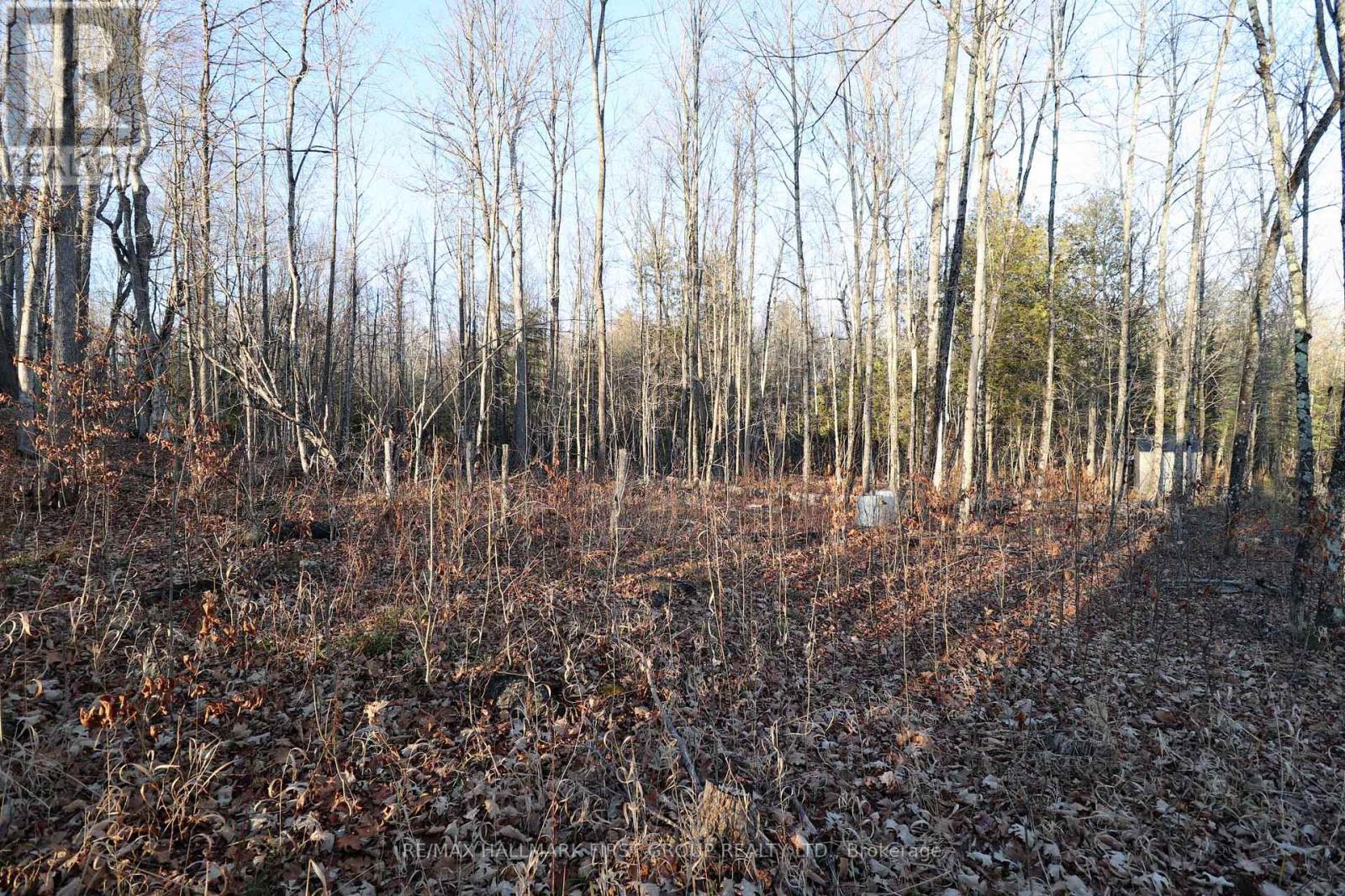 Lot 42 Maple St, Lanark Highlands, Ontario  K0G 1M0 - Photo 11 - X7313830