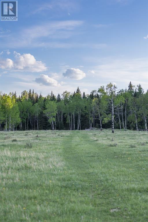 231175 Bracken Road, Rural Rocky View County, Alberta  T0L 0K0 - Photo 29 - A1116621