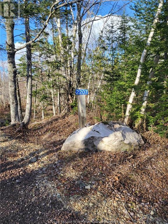 2207 Route 933, Memramcook East, New Brunswick  E4K 3Z2 - Photo 33 - M156362