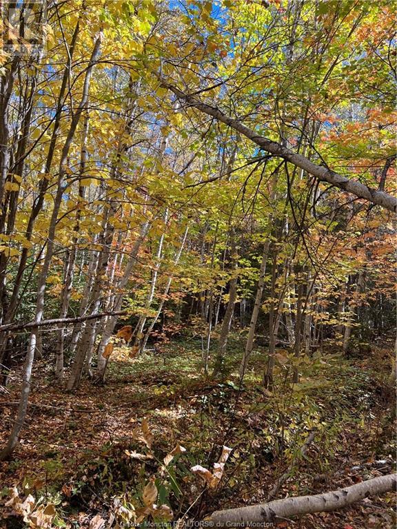 Lot Scotch Settlement Rd, Irishtown, New Brunswick  E1H 1R1 - Photo 23 - M147615