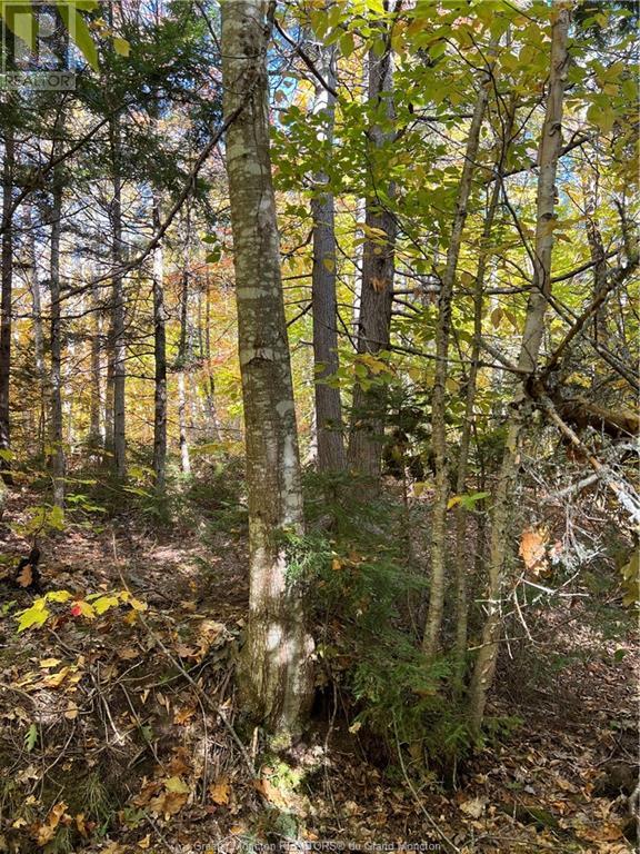 Lot Scotch Settlement Rd, Irishtown, New Brunswick  E1H 1R1 - Photo 18 - M147615