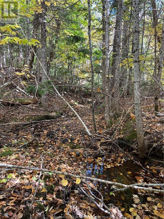 Lot Scotch Settlement Rd, Irishtown, New Brunswick  E1H 1R1 - Photo 21 - M147615