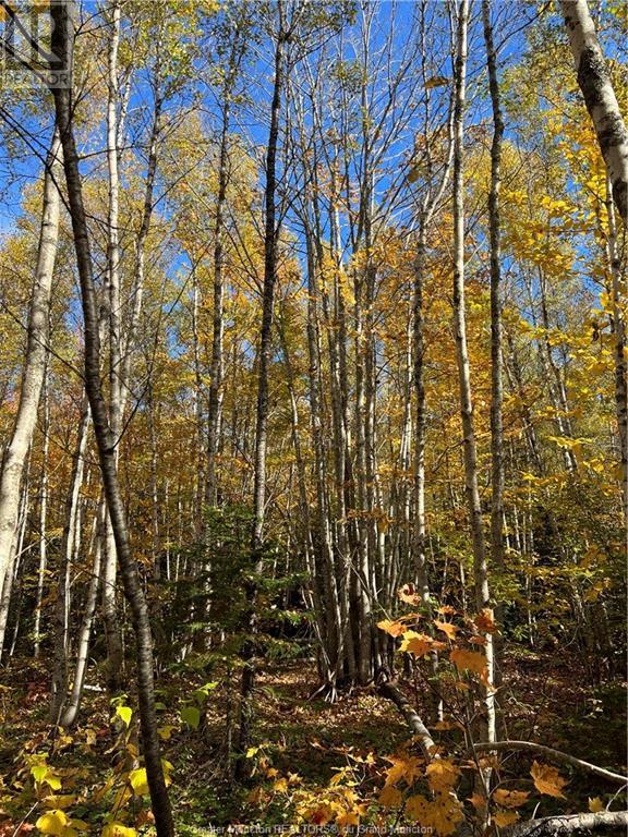 Lot Scotch Settlement Rd, Irishtown, New Brunswick  E1H 1R1 - Photo 24 - M147615