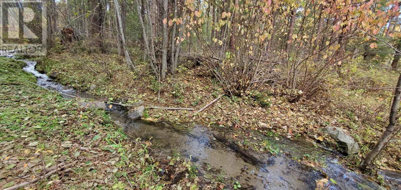 5685 BEATTY Road Rock Creek Photo 5