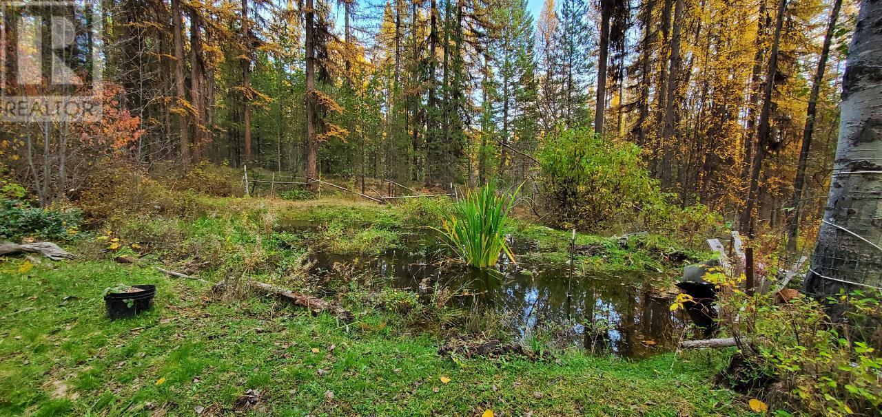 5685 BEATTY Road Rock Creek Photo 32