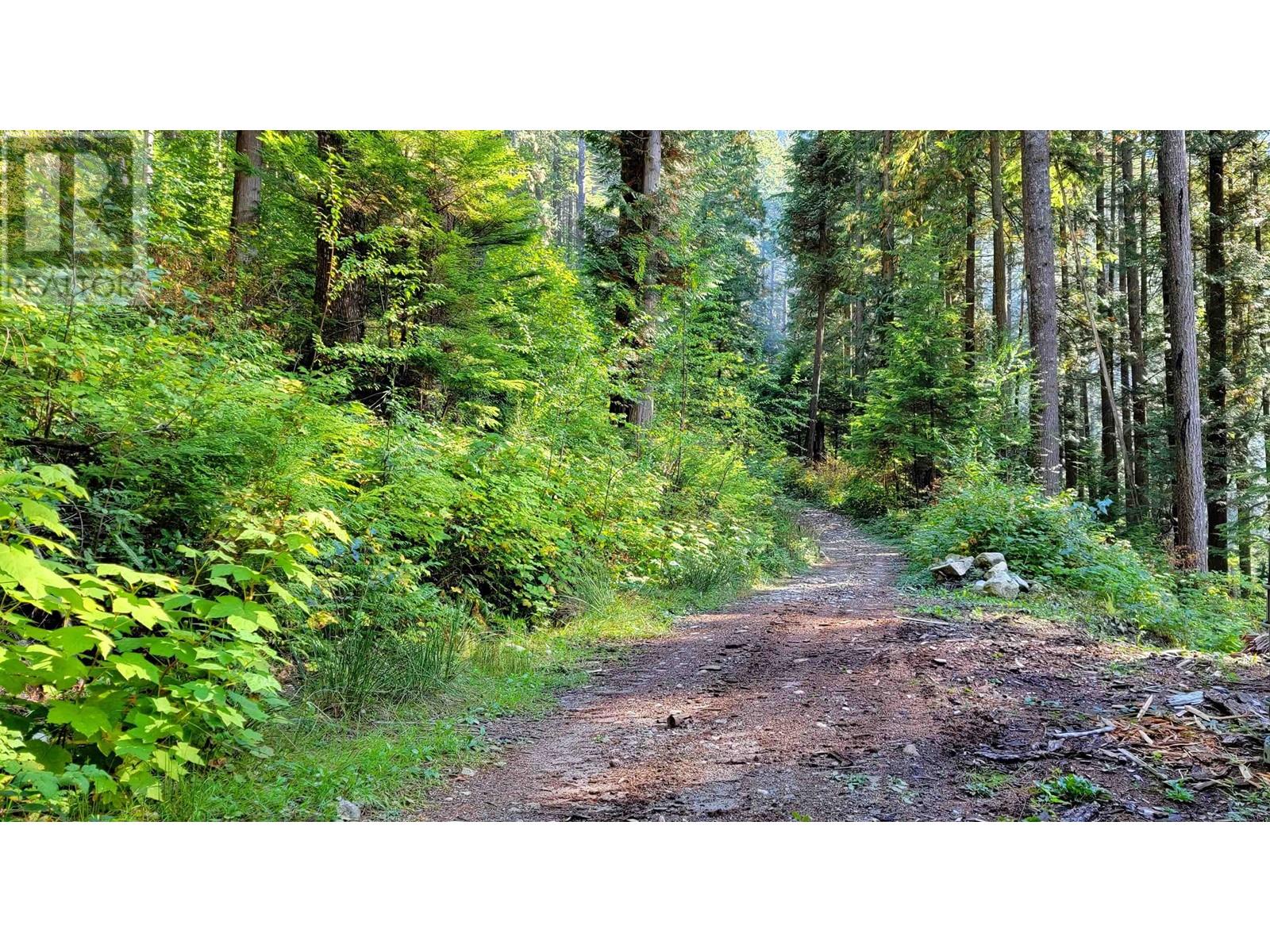 Lot 12 Osprey Creek Pitt Lake, Pitt Meadows, British Columbia  V0V 0V0 - Photo 8 - R2834492