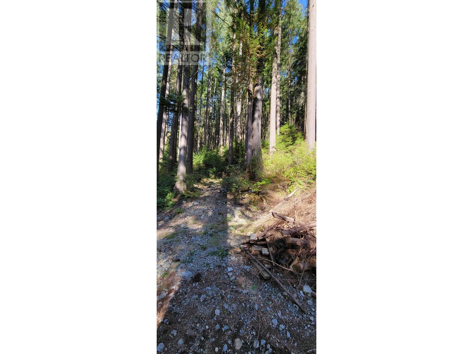 Lot 12 Osprey Creek Pitt Lake, Pitt Meadows, British Columbia  V0V 0V0 - Photo 9 - R2834492