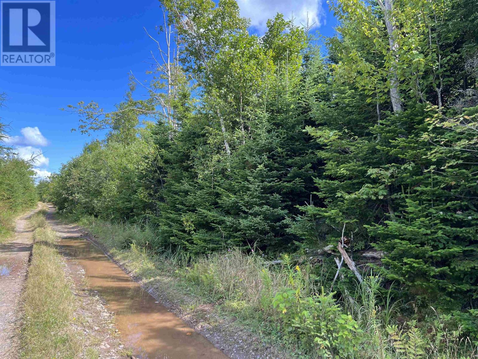 Lot 2 Maclean Road, Hunters Mountain, Nova Scotia  B0E 1B0 - Photo 6 - 202317840