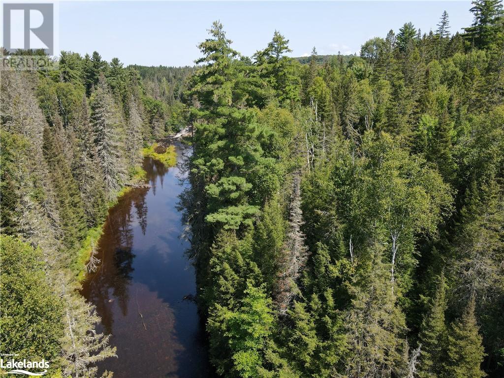 125 Stirling Falls Road, Burk's Falls, Ontario P0A 1C0 (26311930) Bay Homes For Sale