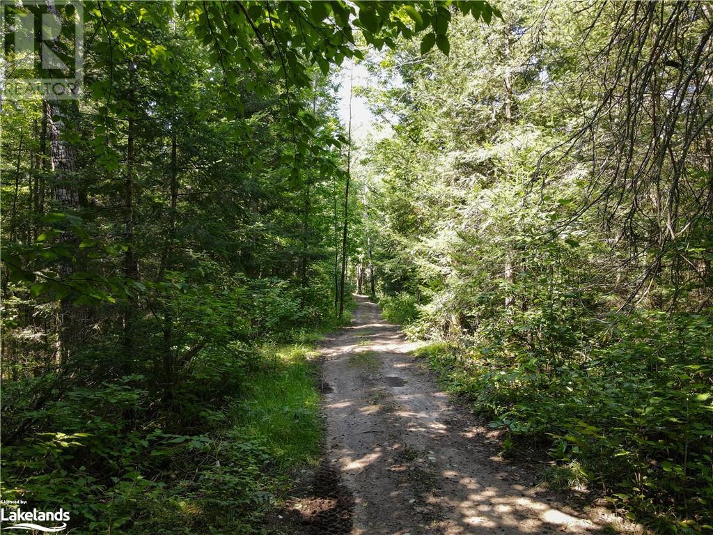 125 Stirling Falls Road, Burk's Falls, Ontario P0A 1C0 (26311930