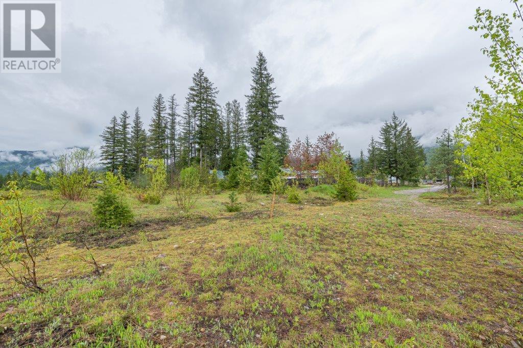 4103 Balsam Way, Malakwa, British Columbia  V0E 2J0 - Photo 7 - 10273668