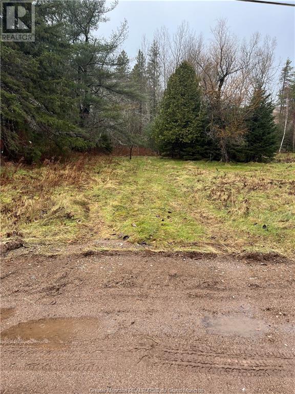 Lot Portage Vale Rd, Portage Vale, New Brunswick  E4Z 3C4 - Photo 6 - M156380