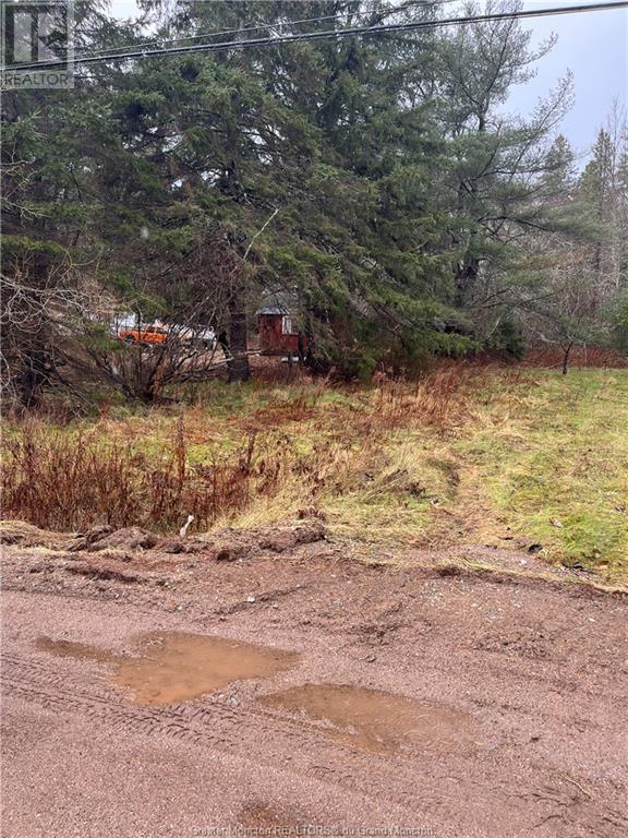 Lot Portage Vale Rd, Portage Vale, New Brunswick  E4Z 3C4 - Photo 8 - M156380