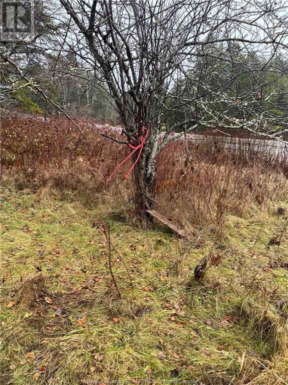 Lot Portage Vale Road, Portage Vale, New Brunswick  E4Z 3C4 - Photo 3 - M156380