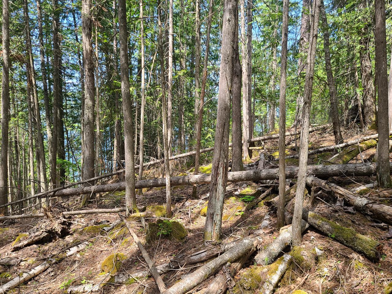 Lot 1 Pilot Bay Road, Kootenay Bay, British Columbia  V0B 1X0 - Photo 13 - 2474174