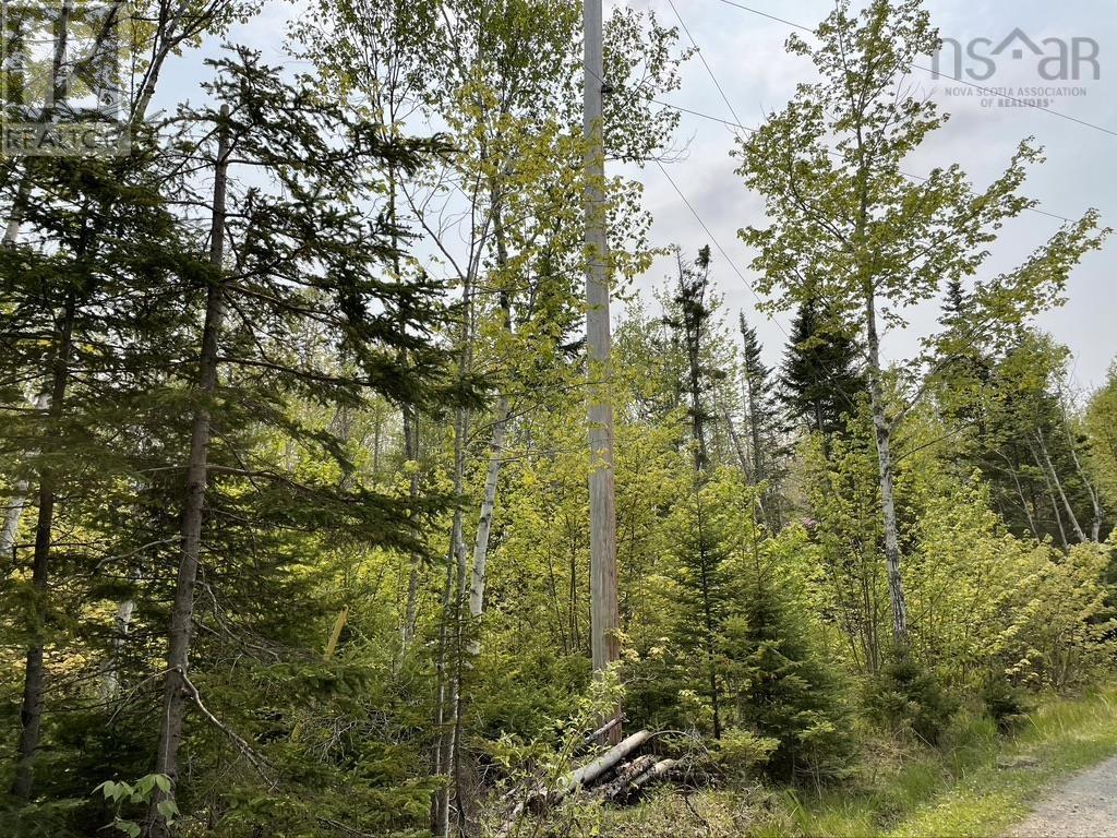 Old County Road, baddeck inlet, Nova Scotia