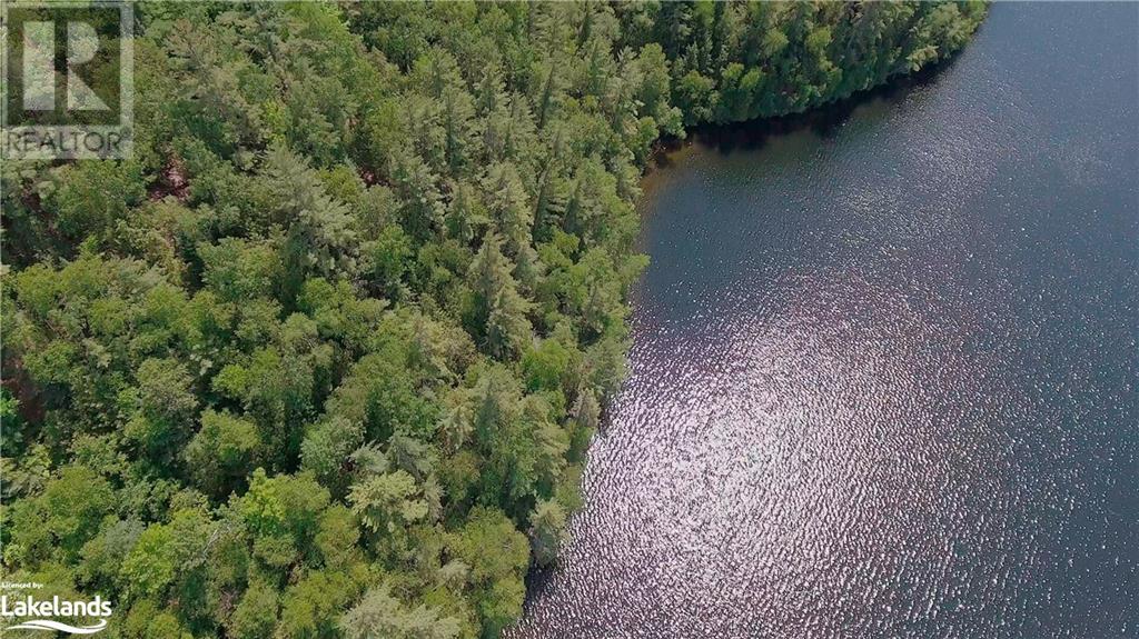 Lot 5 Gonnsen Trail, Haliburton, Ontario  K0M 1S0 - Photo 16 - 40517560