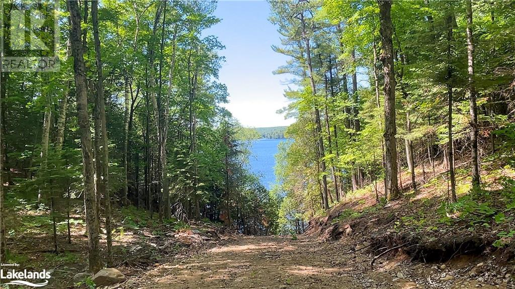 Lot 5 Gonnsen Trail, Haliburton, Ontario  K0M 1S0 - Photo 19 - 40517560