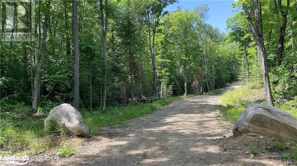 Lot 5 Gonnsen Trail, Haliburton, Ontario  K0M 1S0 - Photo 26 - 40517560