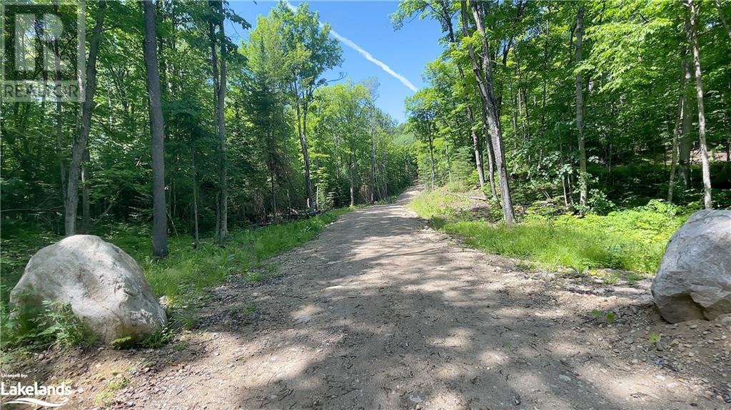 Lot 5 Gonnsen Trail, Haliburton, Ontario  K0M 1S0 - Photo 27 - 40517560