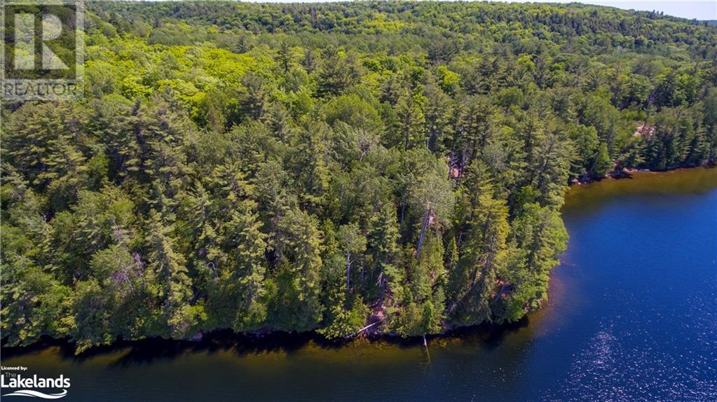 Lot 4 Gonnsen Trail, Haliburton, Ontario  K0M 1S0 - Photo 1 - 40517531