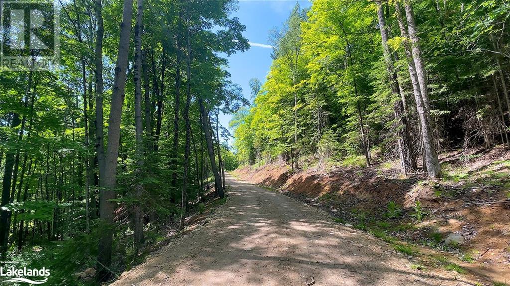 Lot 4 Gonnsen Trail, Haliburton, Ontario  K0M 1S0 - Photo 11 - 40517531