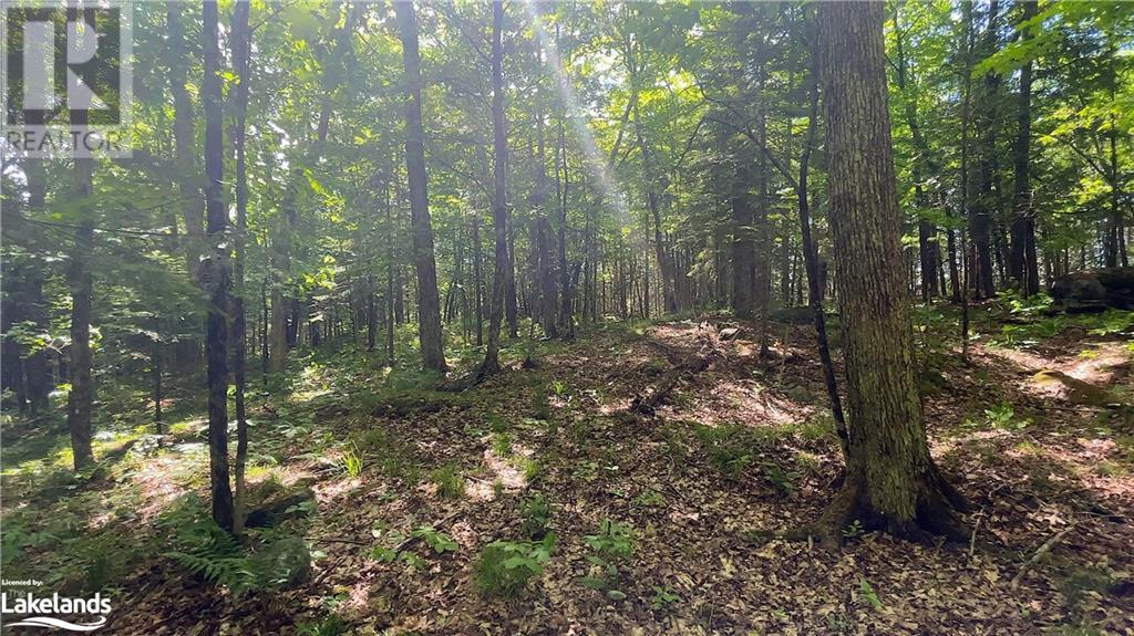 Lot 4 Gonnsen Trail, Haliburton, Ontario  K0M 1S0 - Photo 15 - 40517531