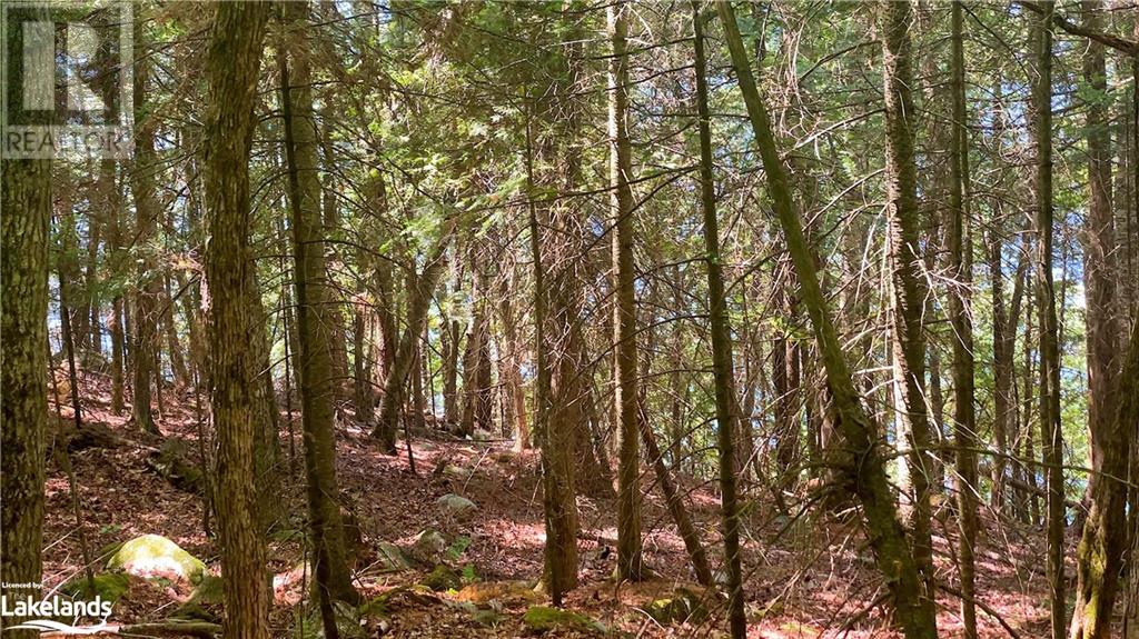 Lot 4 Gonnsen Trail, Haliburton, Ontario  K0M 1S0 - Photo 18 - 40517531