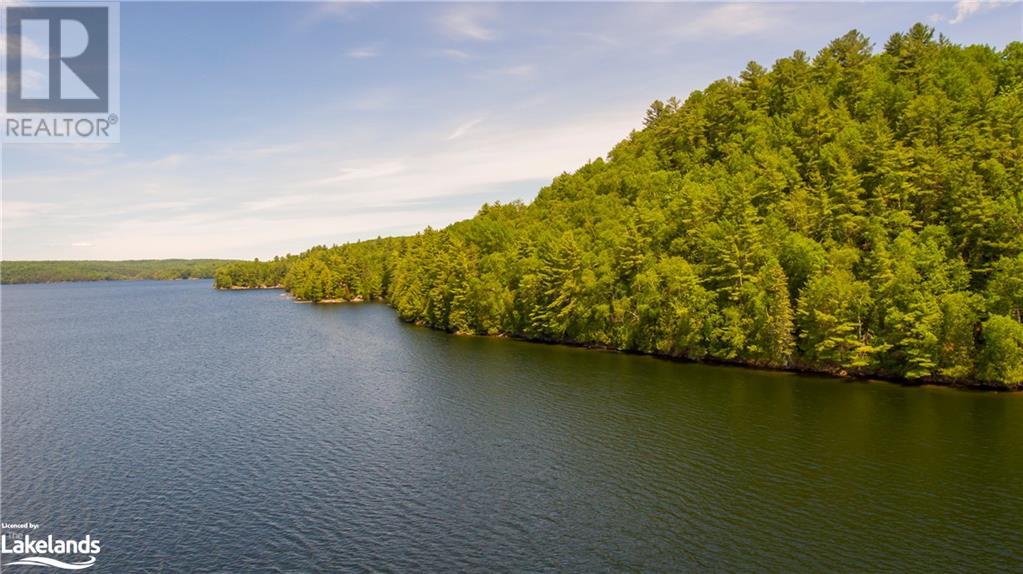 Lot 4 Gonnsen Trail, Haliburton, Ontario  K0M 1S0 - Photo 27 - 40517531