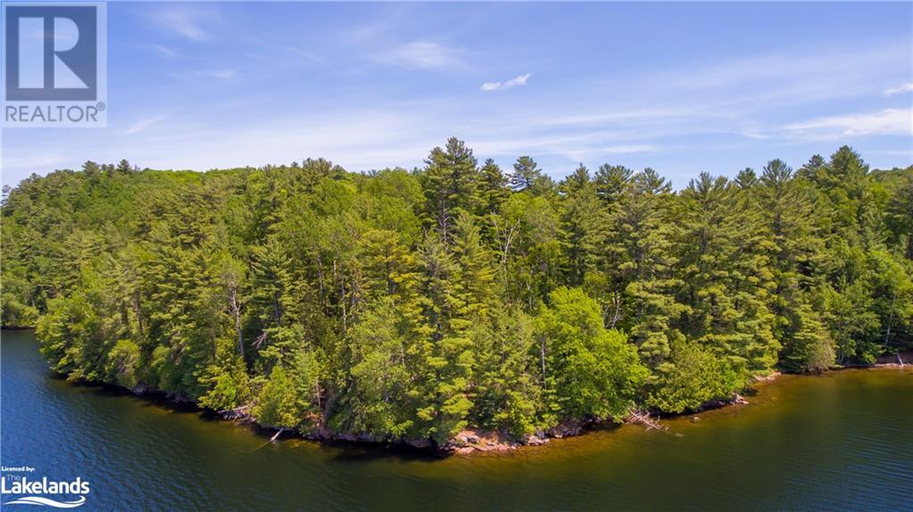 Lot 4 Gonnsen Trail, Haliburton, Ontario  K0M 1S0 - Photo 30 - 40517531