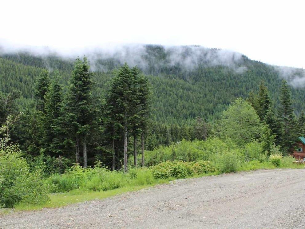 20558 Edelweiss Drive, Agassiz, British Columbia  V0M 1A1 - Photo 8 - R2823166
