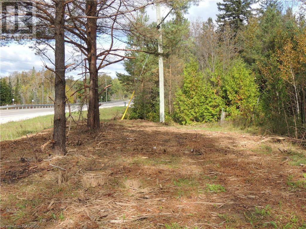 Lot 90 Highway 10, Markdale, Ontario  N0C 1H0 - Photo 13 - 40518433