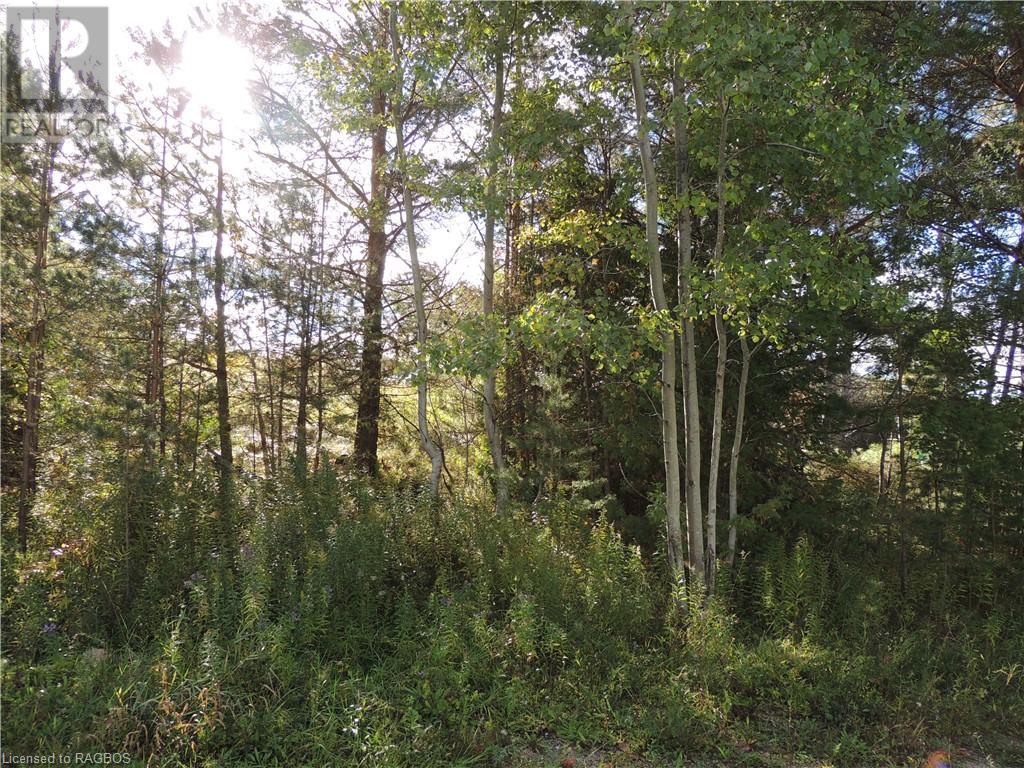 Lot 90 Highway 10, Markdale, Ontario  N0C 1H0 - Photo 2 - 40518433