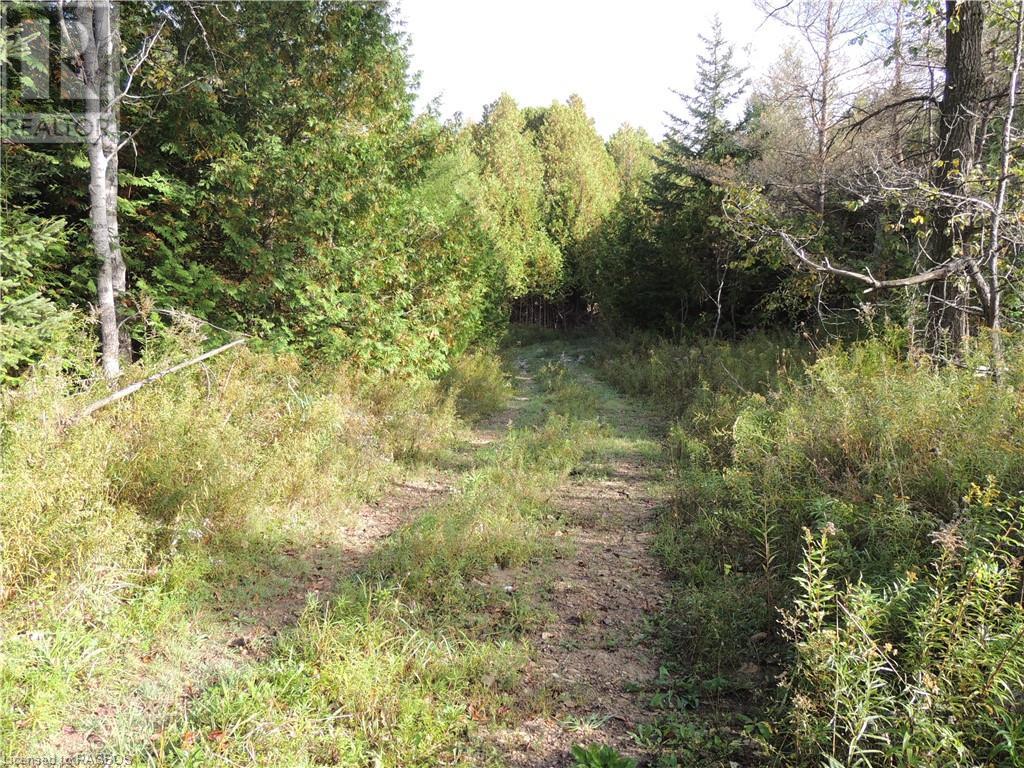 Lot 90 Highway 10, Markdale, Ontario  N0C 1H0 - Photo 6 - 40518433