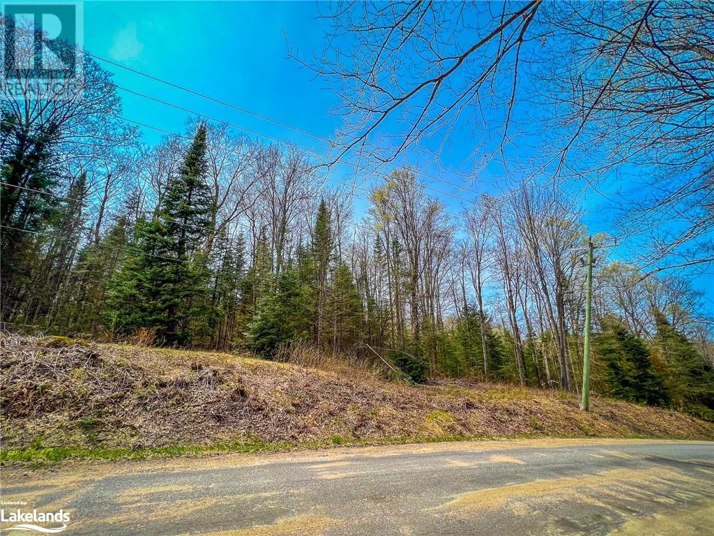 Part Lot 11 Concession 3, Utterson, Ontario  P0B 1J0 - Photo 10 - 40517991