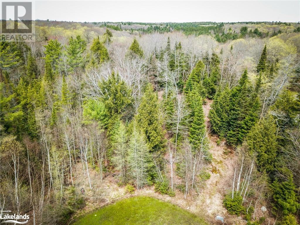 Part Lot 11 Concession 3, Utterson, Ontario  P0B 1J0 - Photo 5 - 40517991