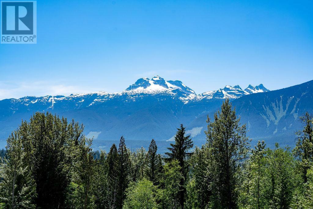 1 Proposed Lot #1 150 Townley Street Revelstoke, BC V0E2S0_3