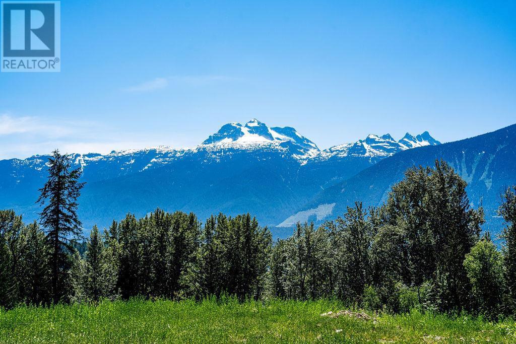 1 Proposed Lot #1 150 Townley Street Revelstoke