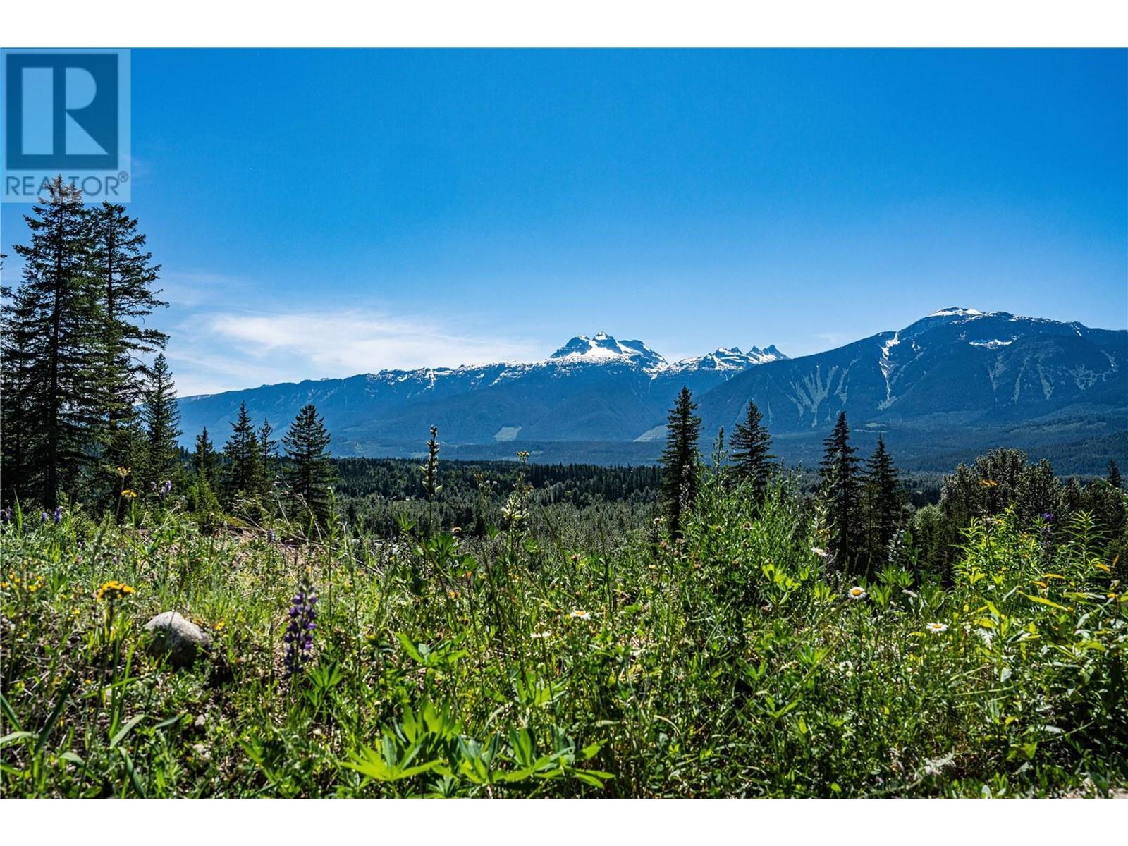 12 Proposed Lot #12 150 Townley Street, Revelstoke, British Columbia  V0E 2S0 - Photo 3 - 10300774