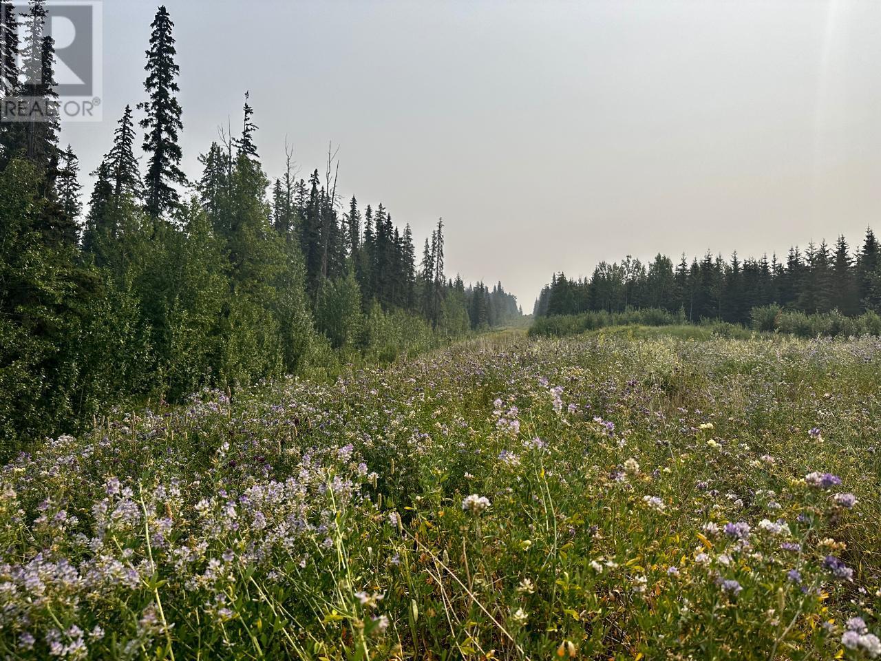 5396 PARKLAND Road Dawson Creek Photo 45